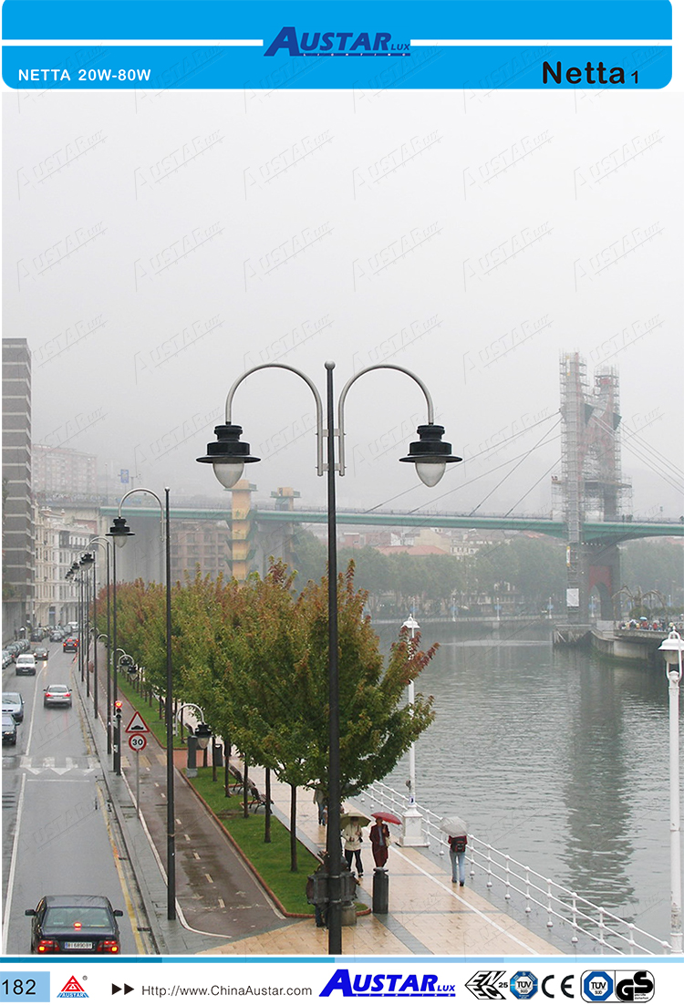 1637821107112423.jpg Netta 5831-3.jpg