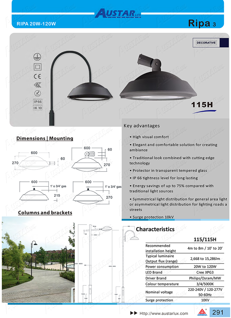 1651287581881491.jpg Ripa-115-2.jpg