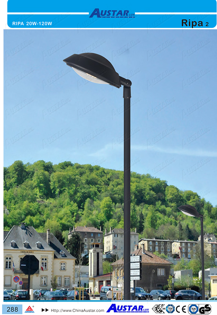 1651287591609994.jpg Ripa-115-4.jpg