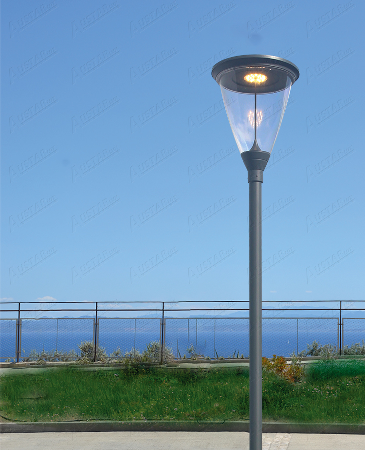 1735019225204780.jpg Anima pic.jpg