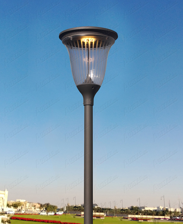 1735019286363852.jpg Anima7 pic.jpg